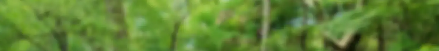 Apply Now Capaital Direct background photo