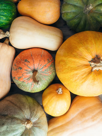 Squash photo
